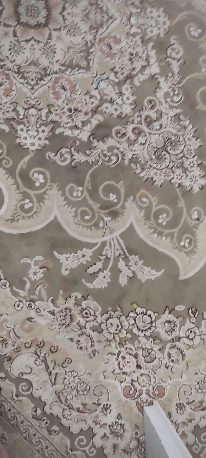 فرش 9متری|فرش|سبزوار, قاضی زاد|دیوار