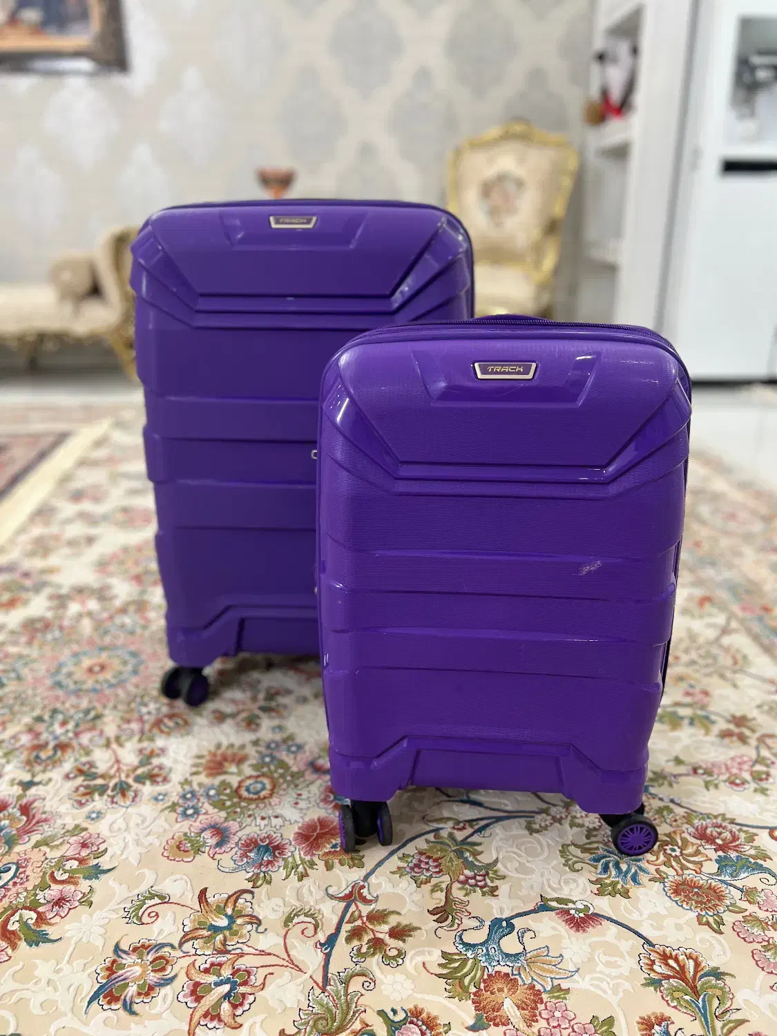 چمدان|کیف، کفش، کمربند|مشهد, الهیه|دیوار