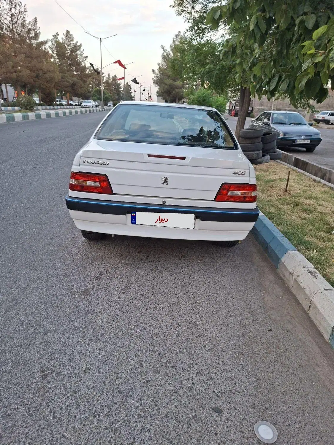 ۴۰۵|خودرو سواری و وانت|پائین جام, |دیوار