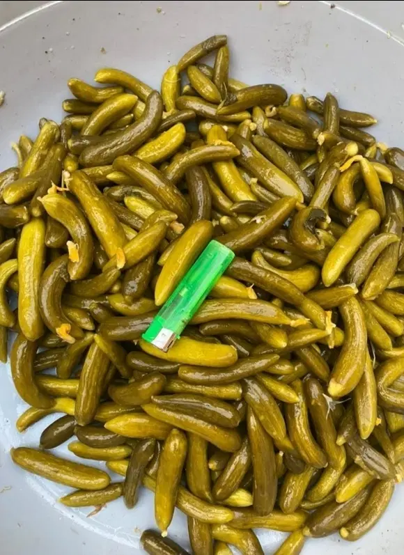 ...|خوردنی و آشامیدنی|بهار, |دیوار