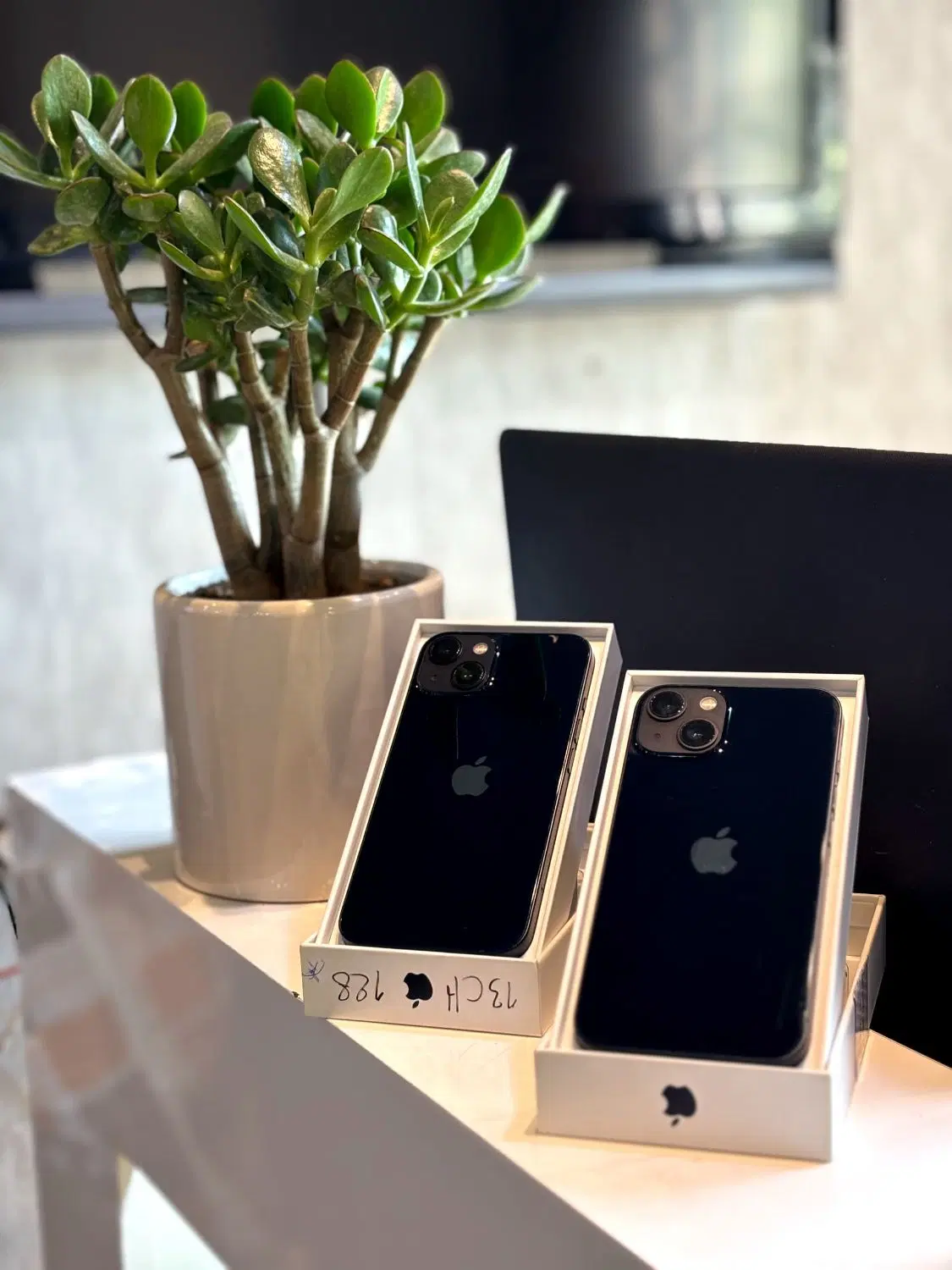 IPhone 13|موبایل|اصفهان, چرخاب|دیوار