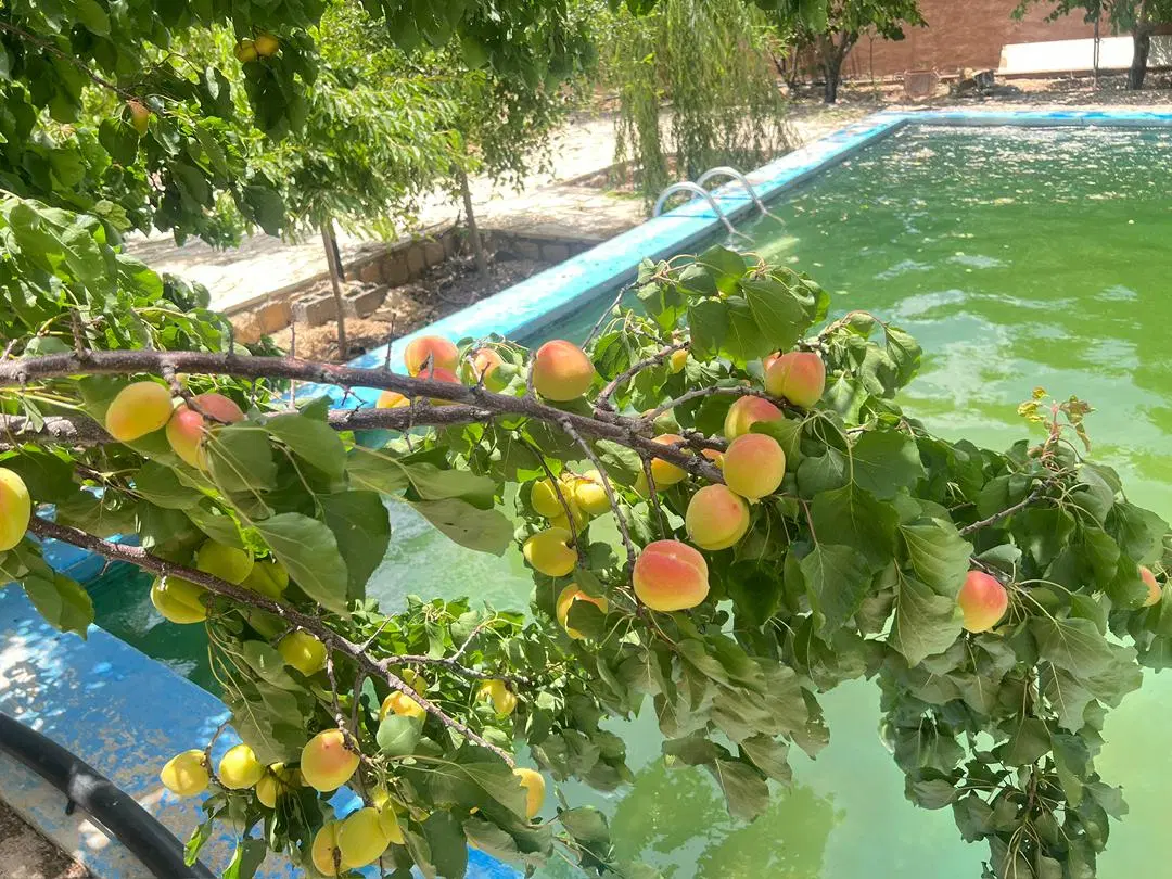 تصویر 3