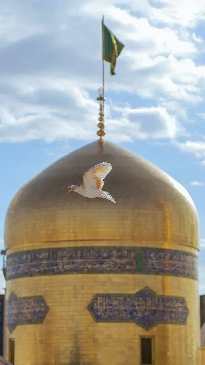 مشهد|تور و چارتر|اصفهان, شهرک امام خمینی|دیوار