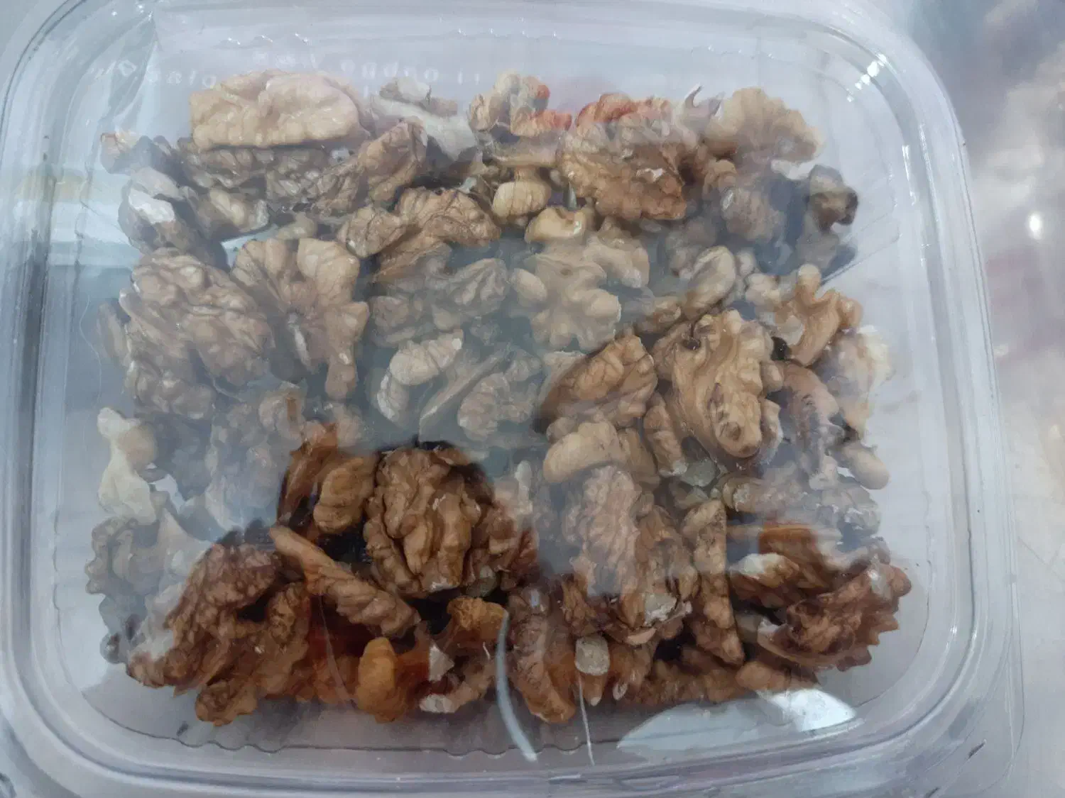 مغز|خوردنی و آشامیدنی|فولادشهر, B8|دیوار