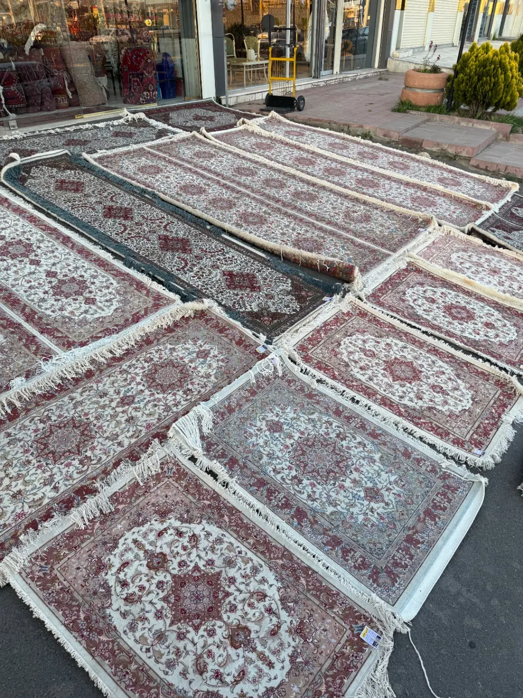 کناره های گلچین جفت و تک بااقساط بلند مدت بدون سود|فرش|تبریز, |دیوار
