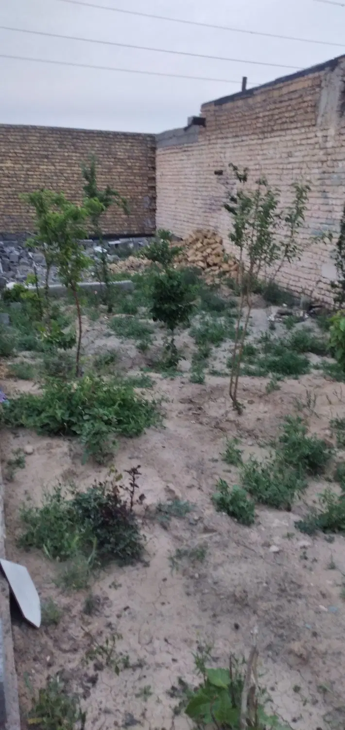 ۱۱۱|خدمات باغبانی و درختکاری|مشهد, ده دی|دیوار