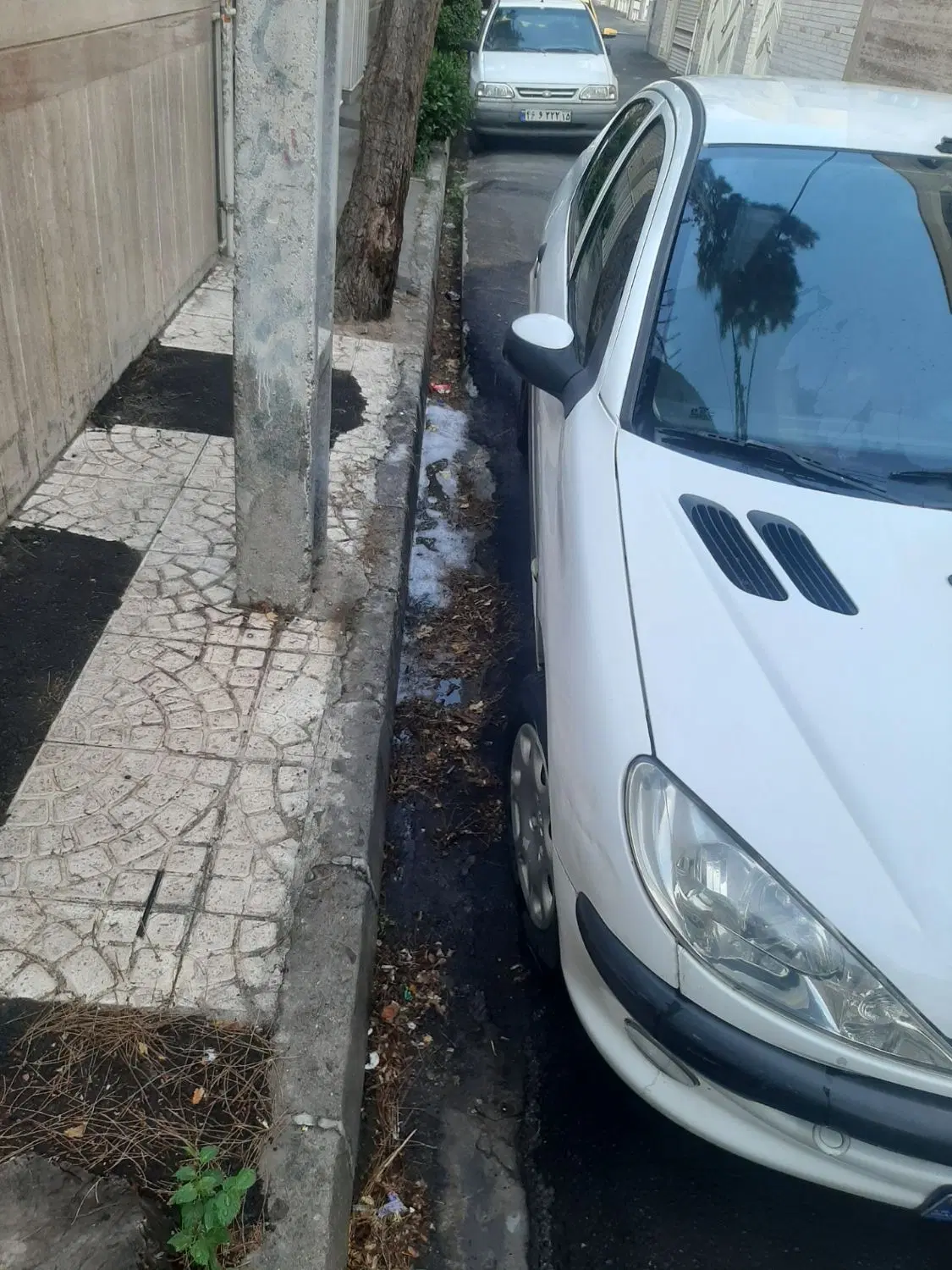 206 sd 93|خودرو سواری و وانت|تبریز, |دیوار