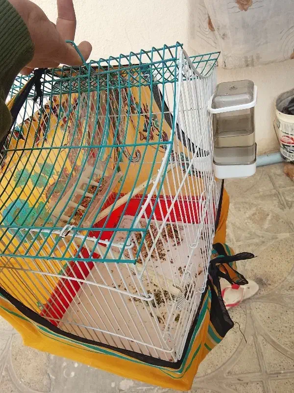 قفس|لوازم جانبی حیوانات|چهارباغ, |دیوار