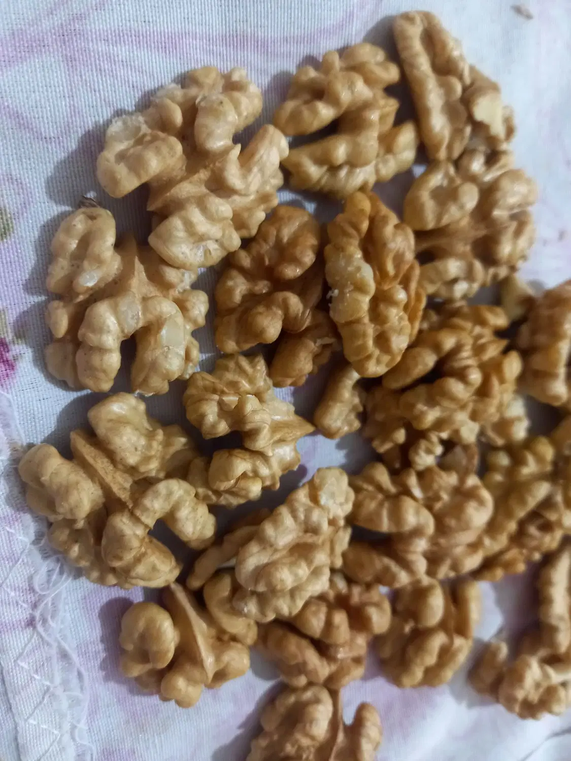 مغز گردو|خوردنی و آشامیدنی|ایلخچی, |دیوار