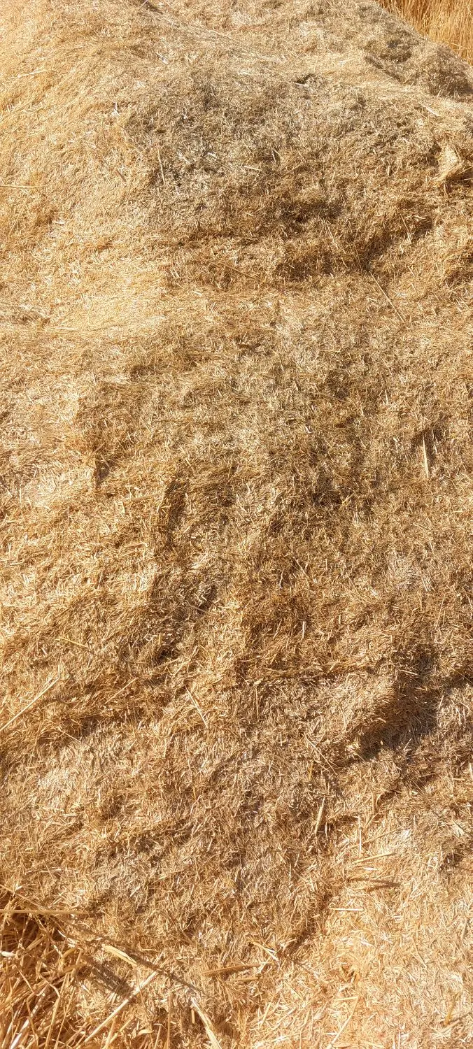 کاه|عمده‌فروشی|سیوان, |دیوار