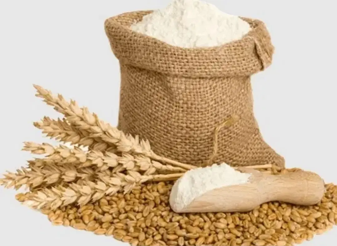 آرد گندم|خوردنی و آشامیدنی|شیراز, ابیوردی|دیوار