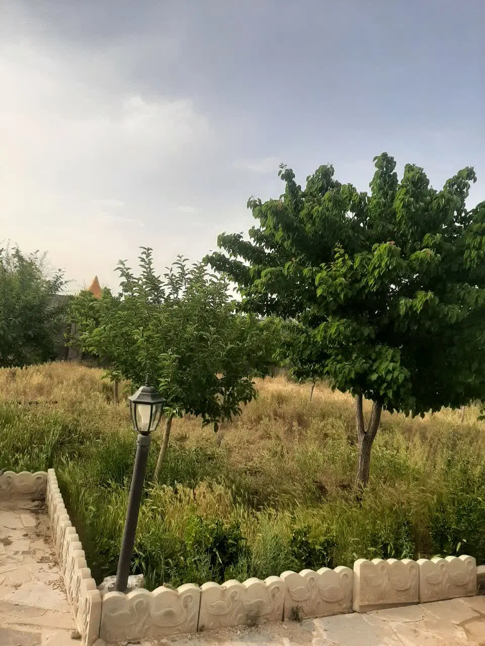 تصویر 12