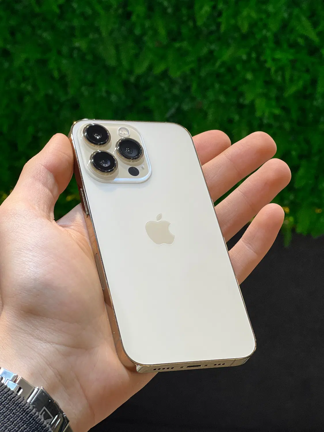 iphone 13 pro|موبایل|سنگر, |دیوار