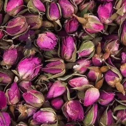 گل محمدی|گل و گیاه طبیعی|سبزوار, امیر کبیر|دیوار