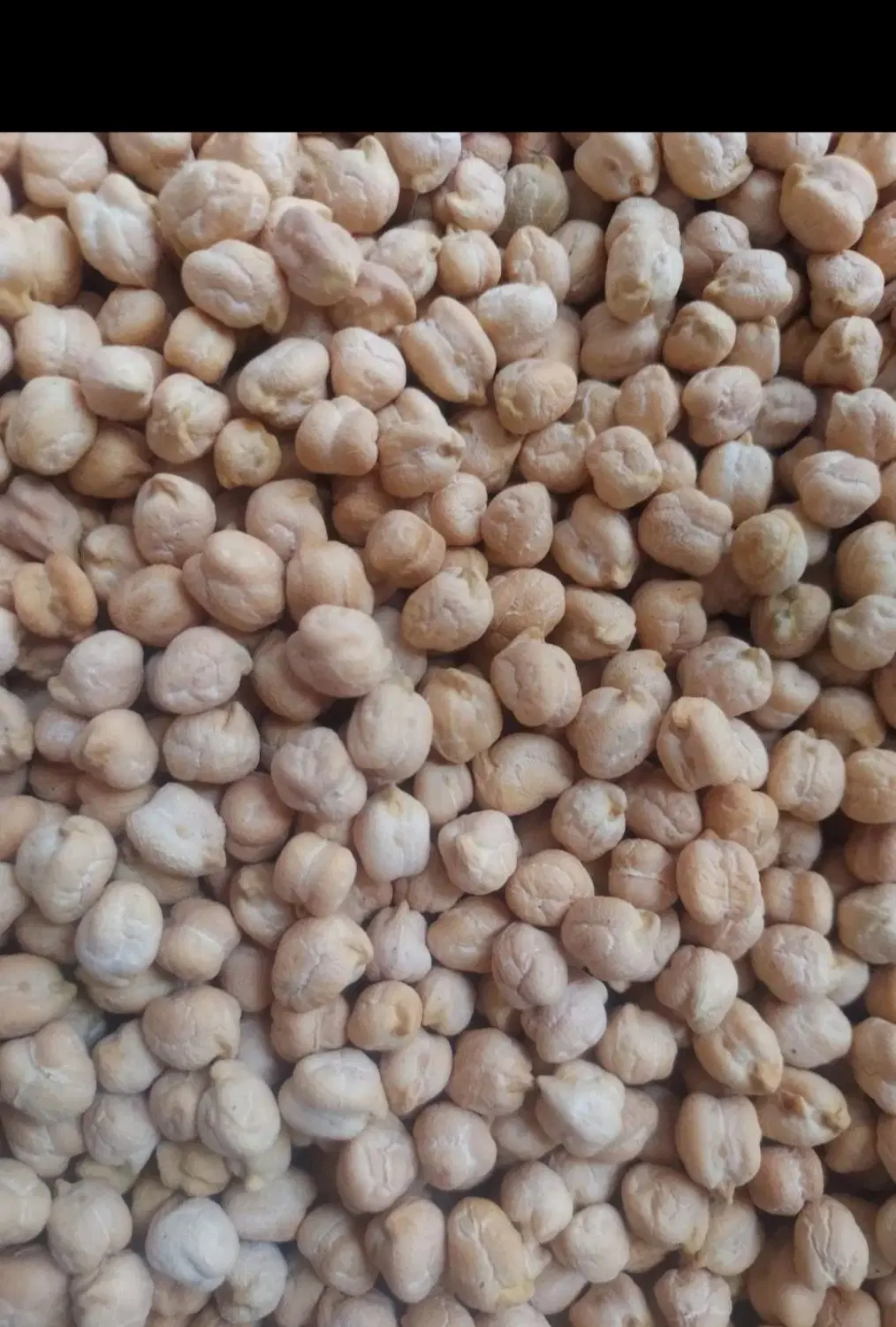 نخود سفید|خوردنی و آشامیدنی|دهگلان, |دیوار