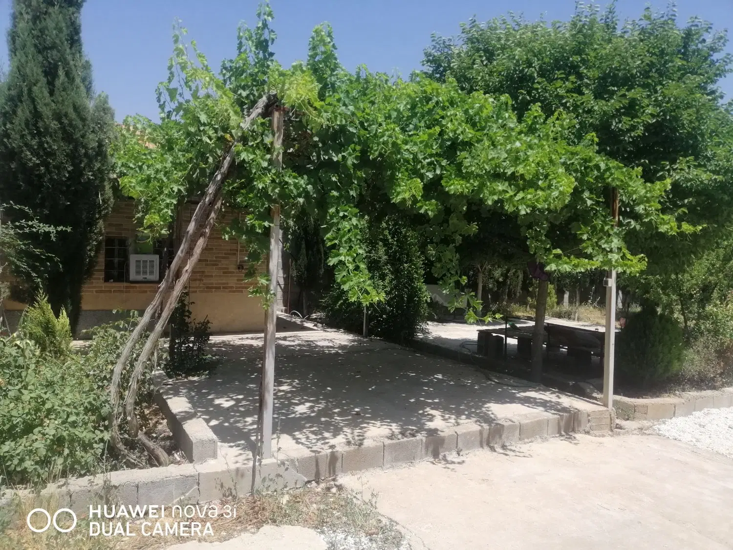 تصویر 6