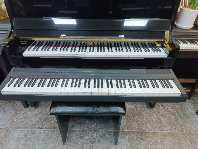 Yamaha p115|پیانو، کیبورد، آکاردئون|یزد, |دیوار