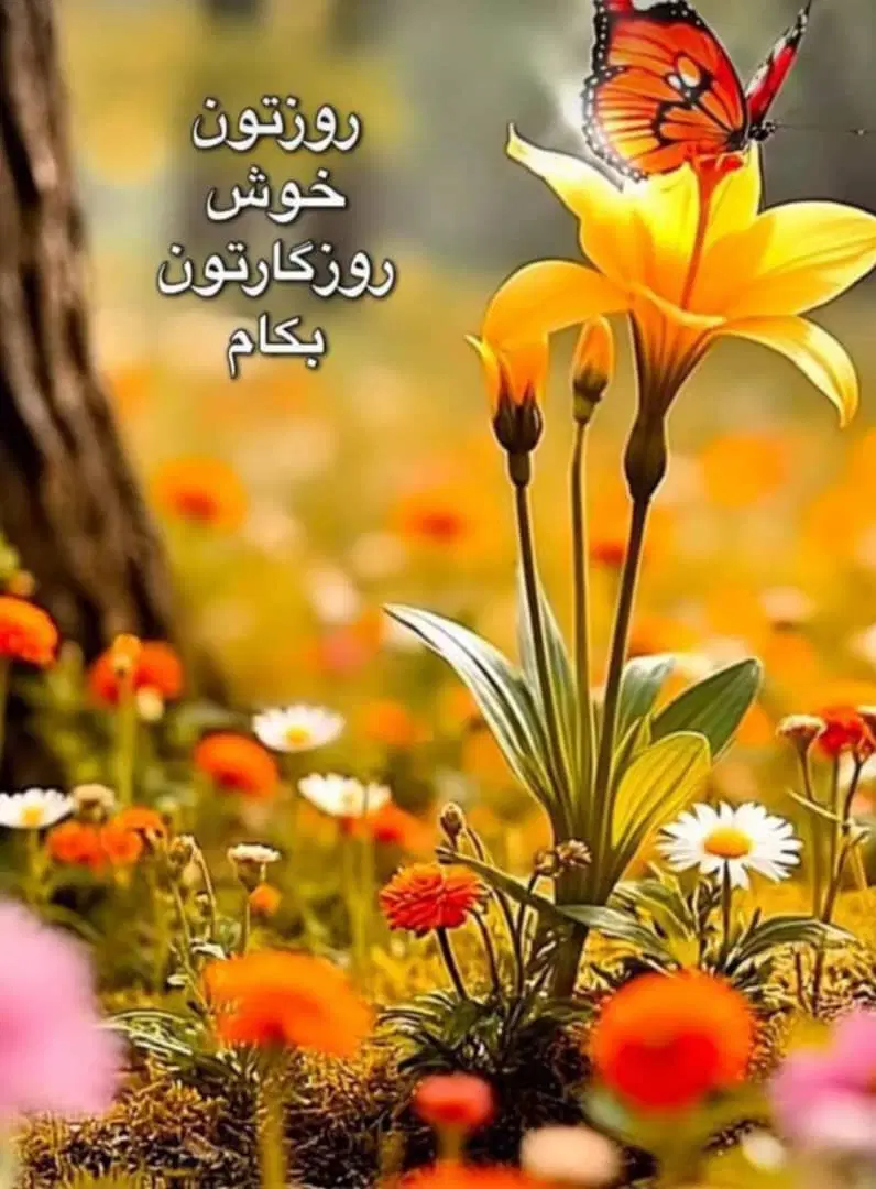 09129224419|سیم‌کارت|تهران, آرژانتین|دیوار