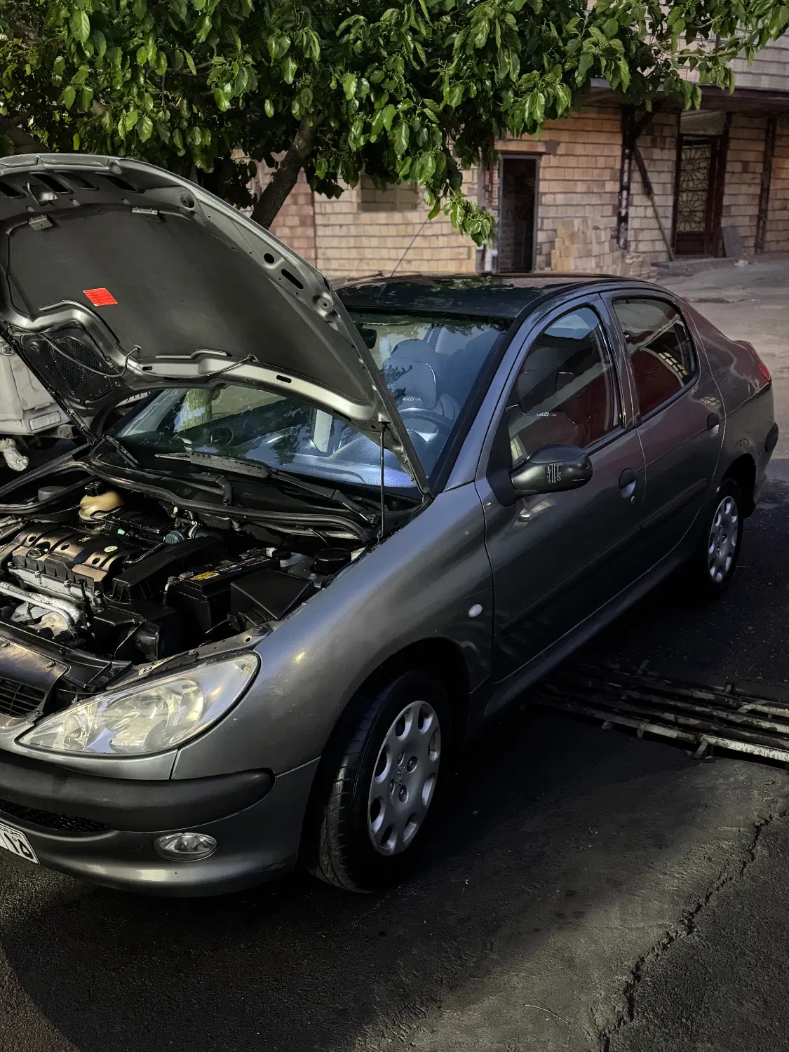 206sd v8 86|خودرو سواری و وانت|تبریز, |دیوار