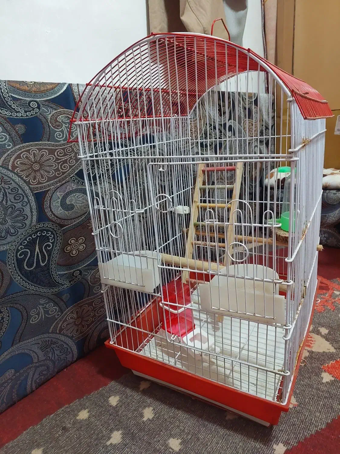 قفس|لوازم جانبی حیوانات|شیراز, کوشک میدان|دیوار