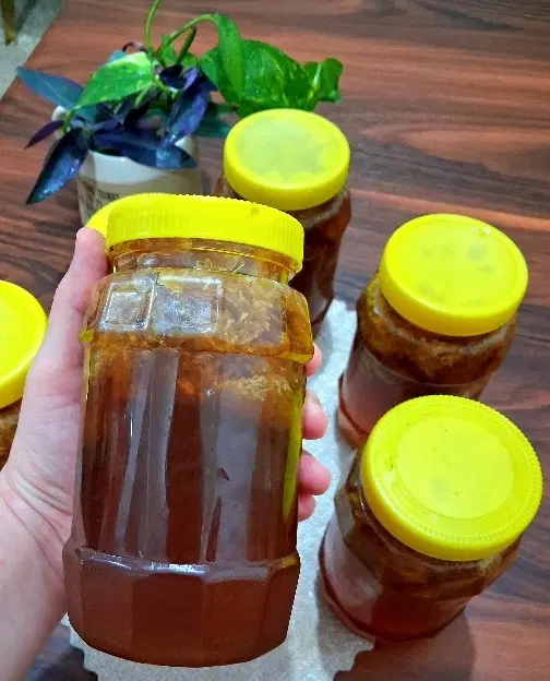 عسل کوهی|خوردنی و آشامیدنی|دهلران, |دیوار