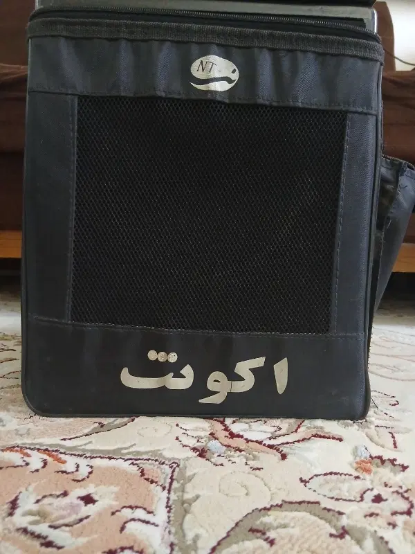 اکو|سیستم صوتی خانگی|اندیمشک, |دیوار