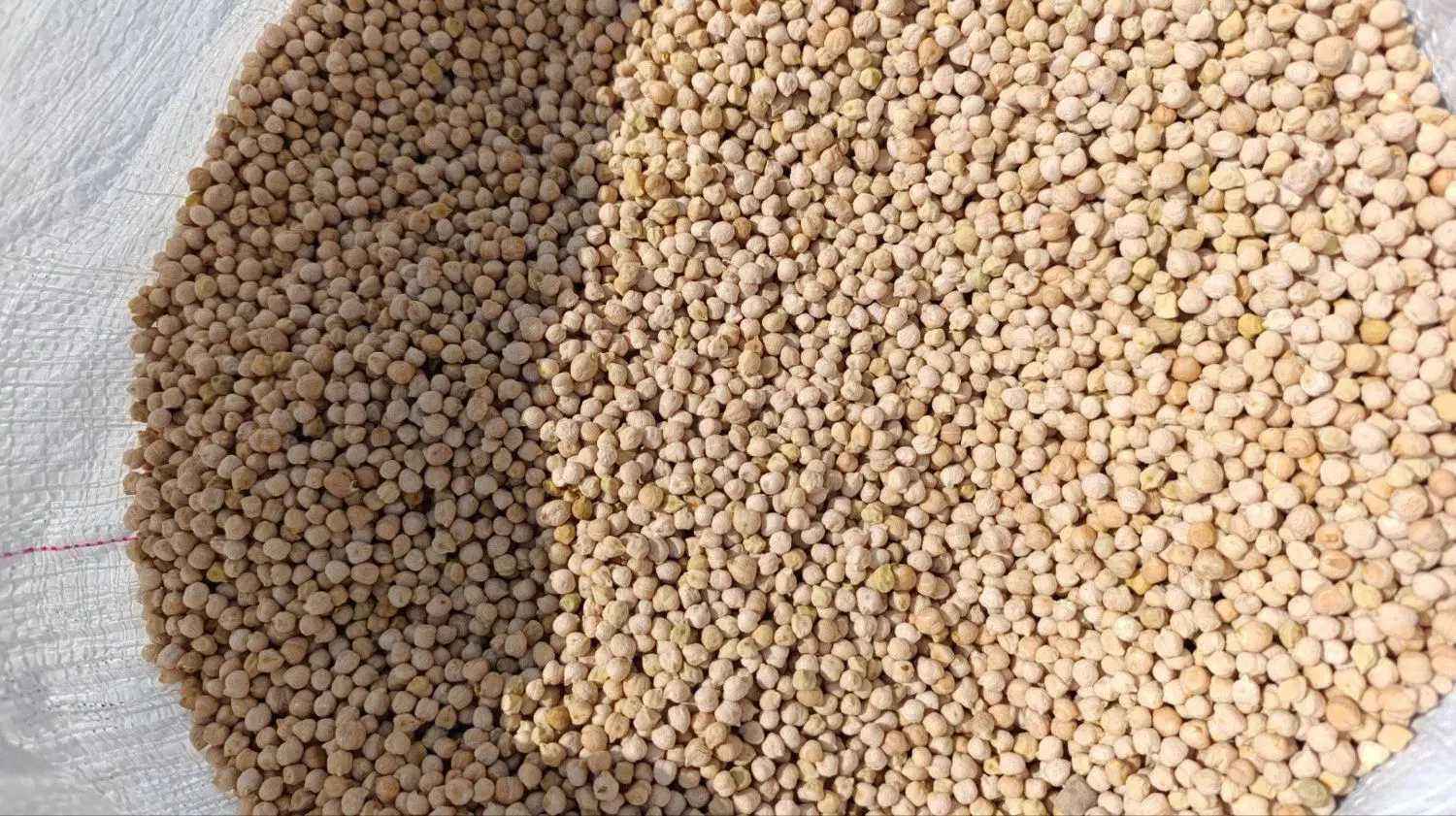 نخود|خوردنی و آشامیدنی|استهبان, |دیوار