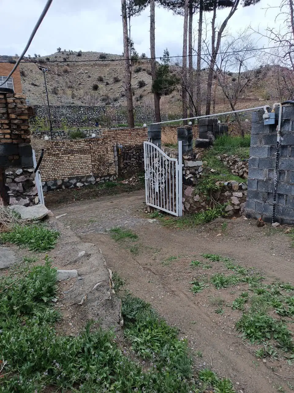 تصویر 8