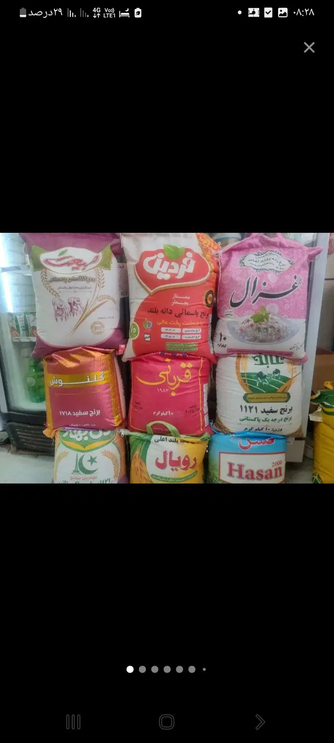 گمشده|حیوانات|شیروان (خراسان), |دیوار