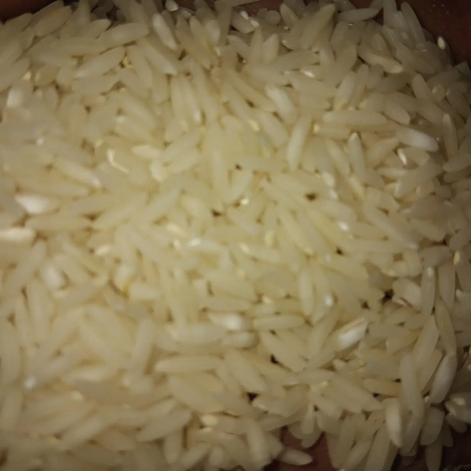 برنج|خوردنی و آشامیدنی|فومن, |دیوار