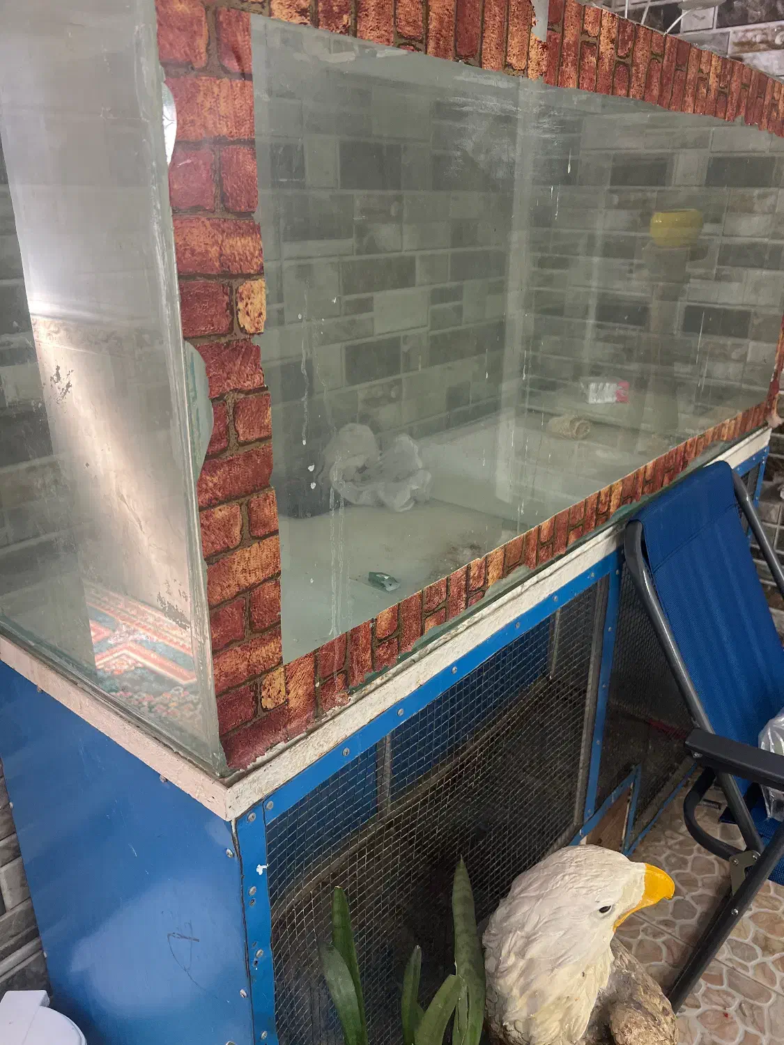 اکواریم|ماهی|برازجان, |دیوار