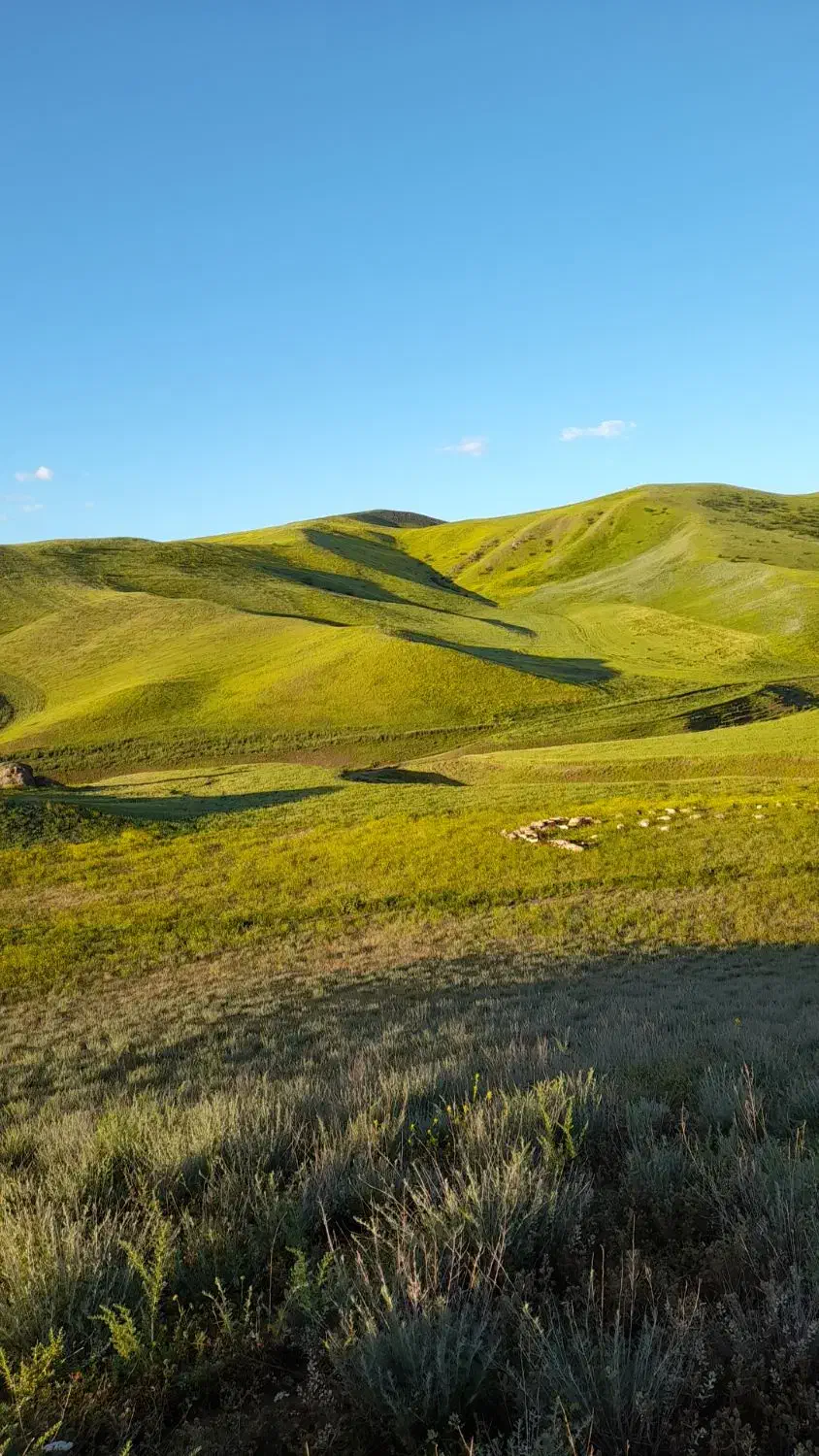 علف|خوردنی و آشامیدنی|آبش احمد, |دیوار