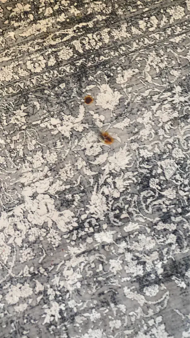 فرش ۹متری|فرش|قم, سالاریه|دیوار