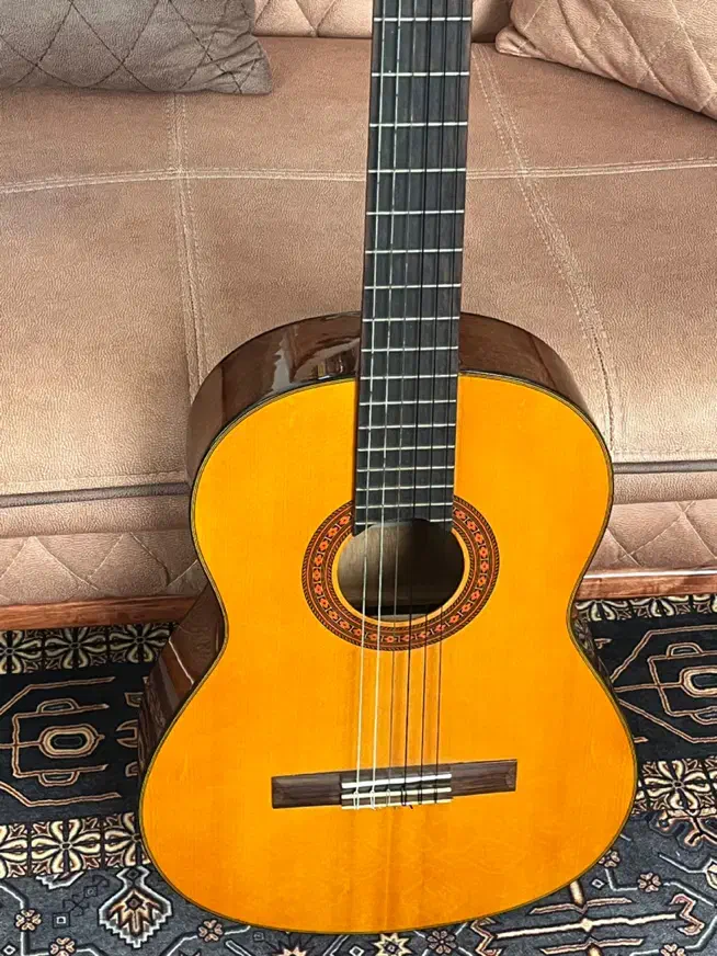 گیتار|گیتار، بیس، امپلیفایر|تهران, قیطریه|دیوار