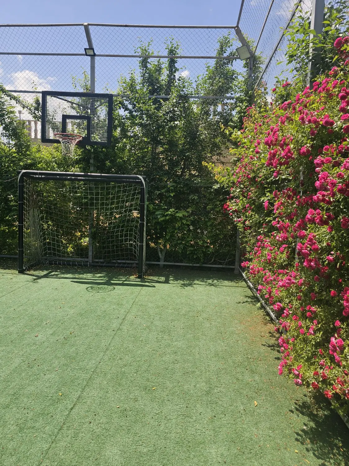 تصویر 5