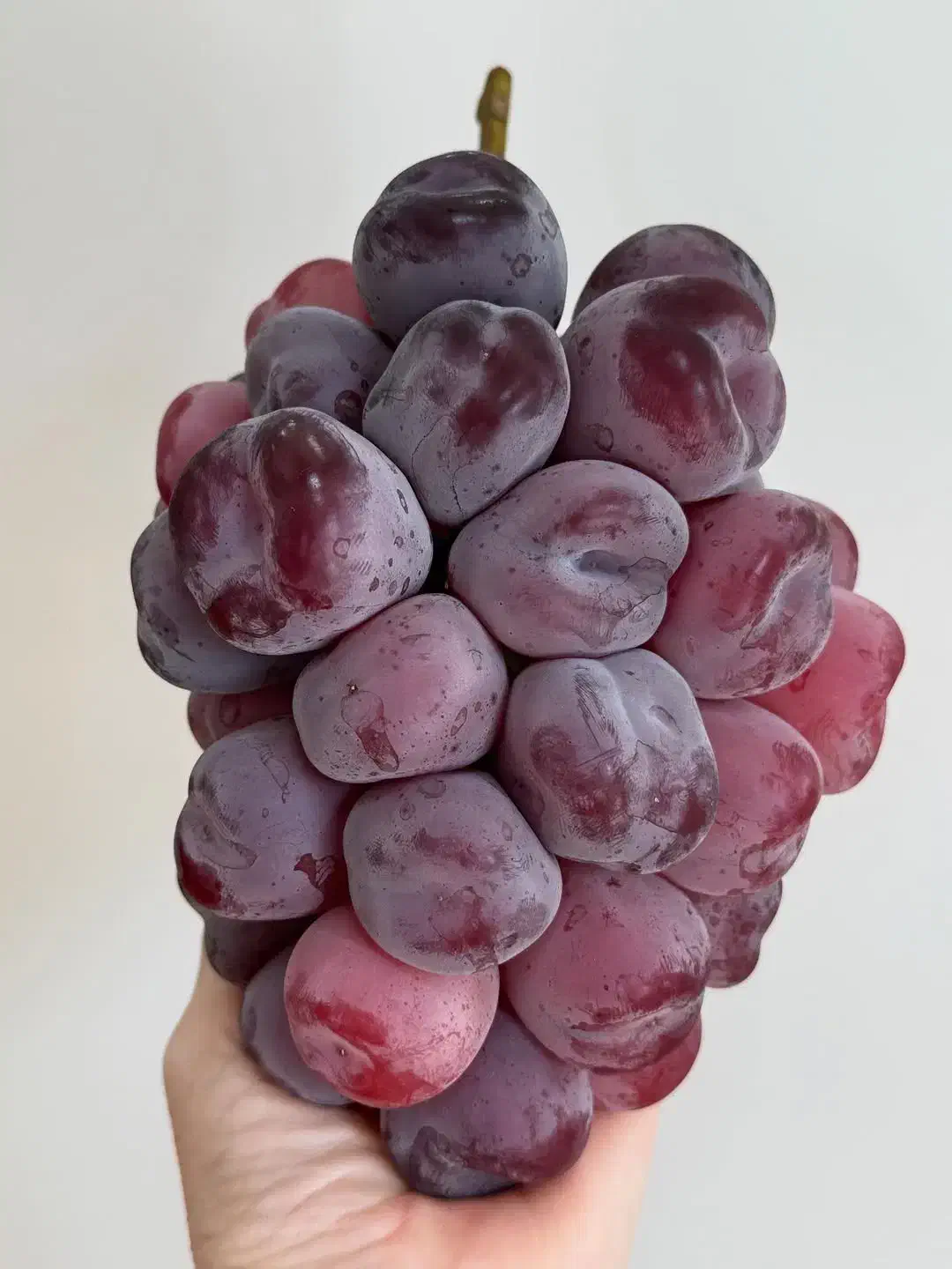 نهال گلابی|خدمات باغبانی و درختکاری|اسلامشهر, شهرک مفیدی|دیوار