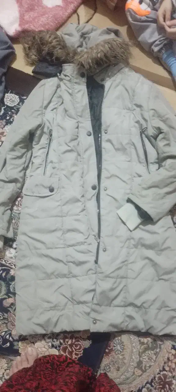 پالتو|لباس|ثلاث باباجانی, |دیوار