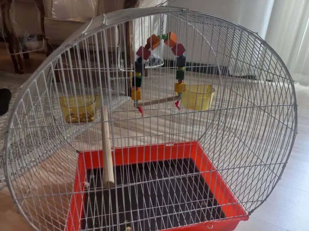 قفس|لوازم جانبی حیوانات|شیراز, شیخ روزبهان|دیوار