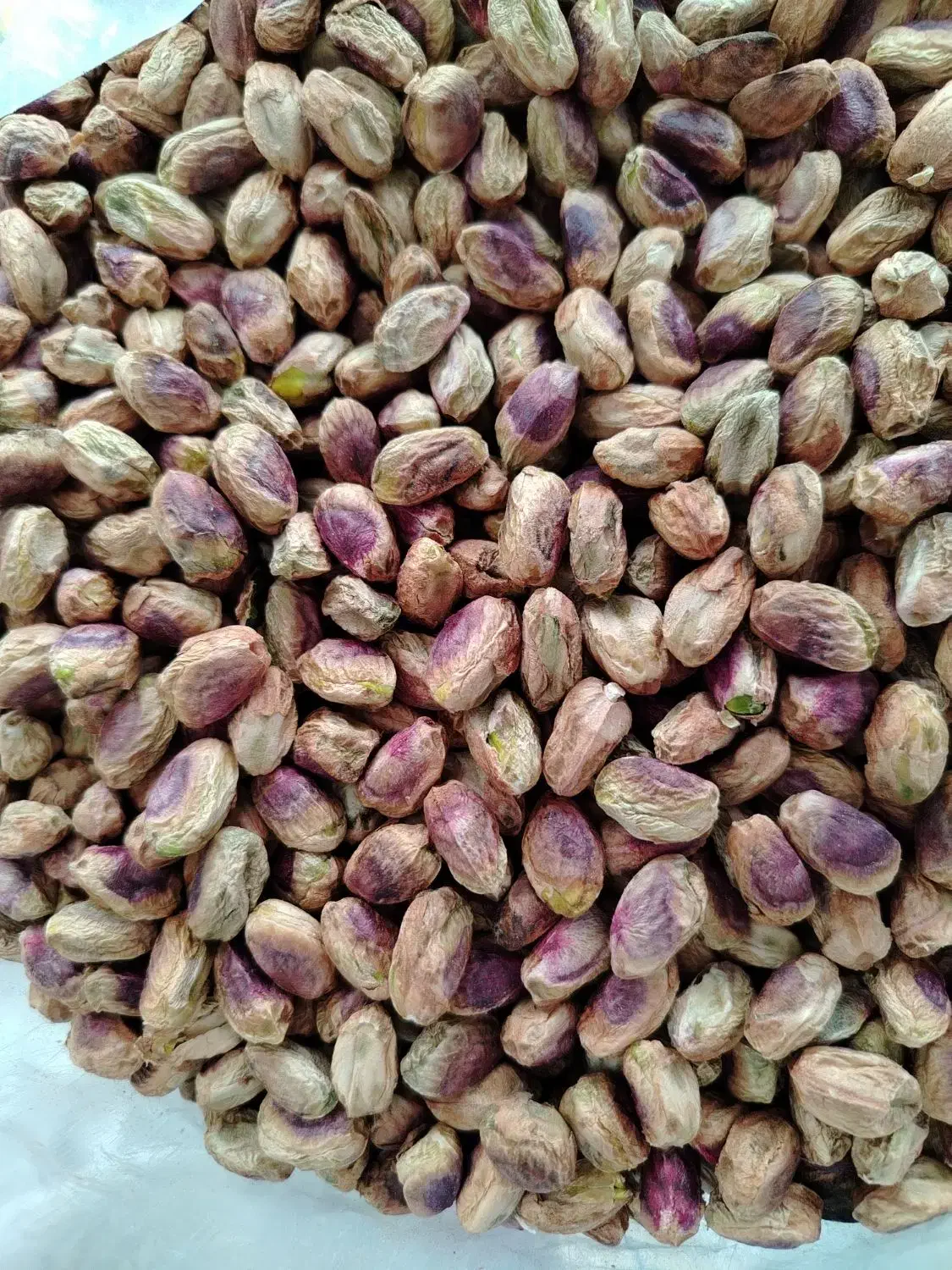 فروش پسته و مغز پسته|عمده‌فروشی|رامسر, |دیوار