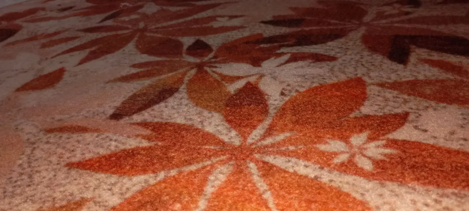موکت|موکت|ابهر, |دیوار