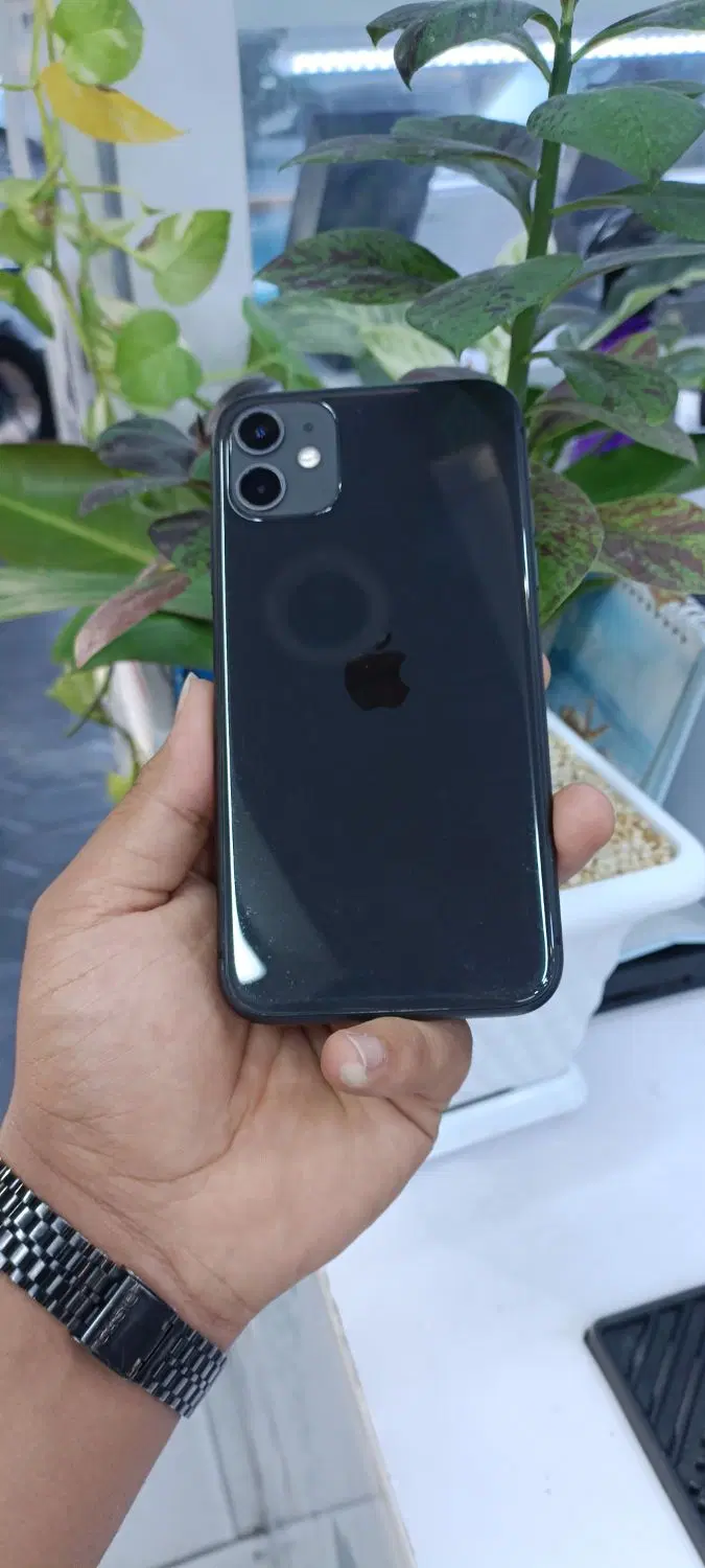 iPhone 11normal|موبایل|شیراز, زند|دیوار
