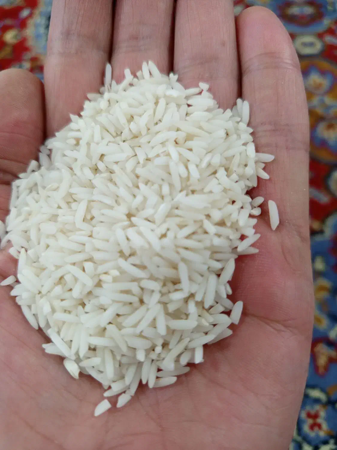 برنج هاشمی خالص|خوردنی و آشامیدنی|تالش, هشتپر|دیوار