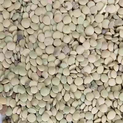 عدس|خوردنی و آشامیدنی|طرهان, |دیوار