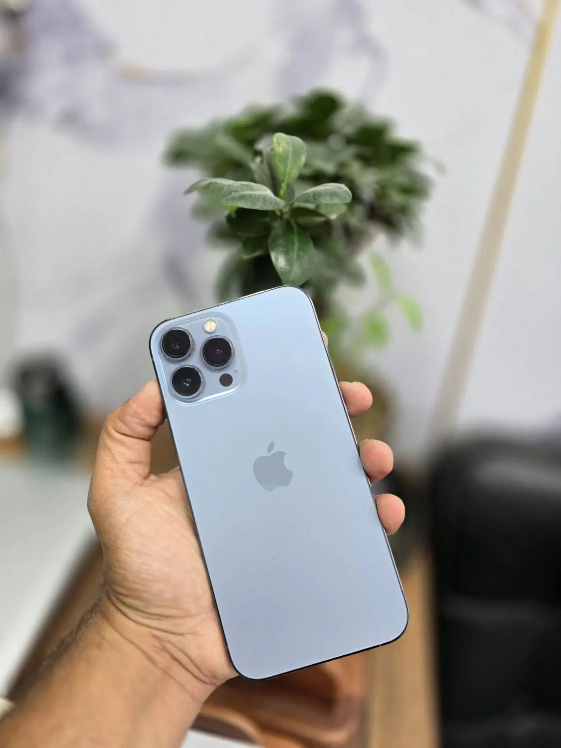 13pro max|موبایل|شیراز, باغ تخت|دیوار