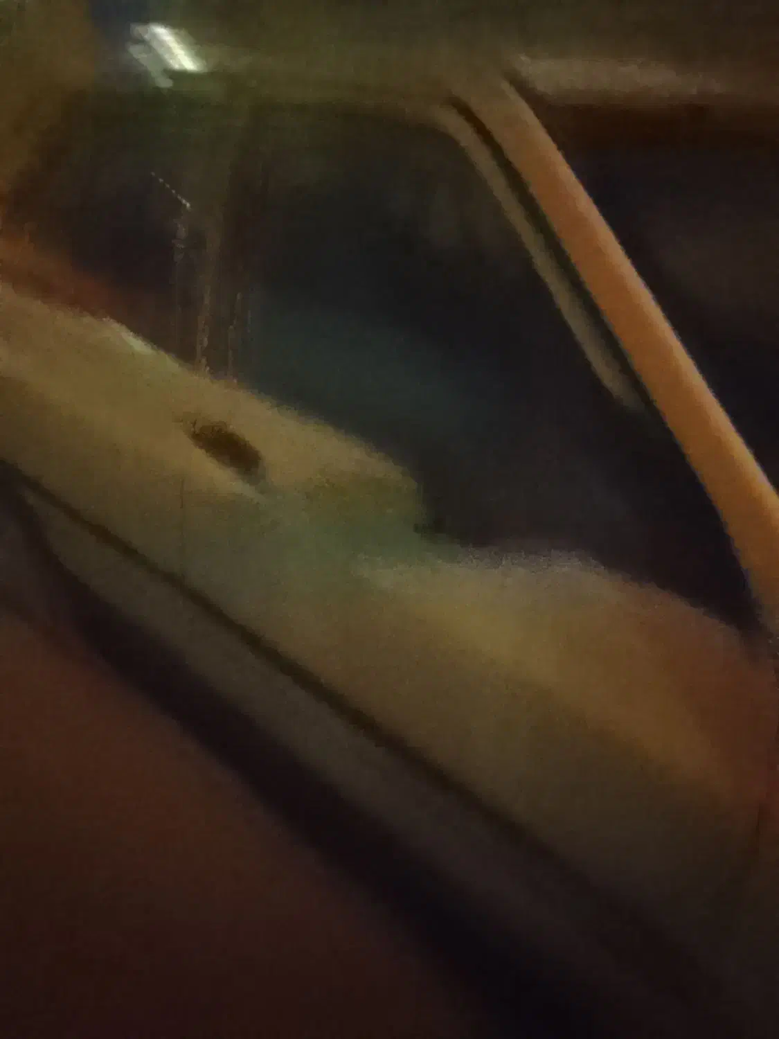 پراید مدل 88|خودرو سواری و وانت|برخوار, |دیوار