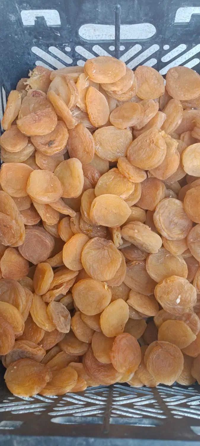 قیسی|خوردنی و آشامیدنی|ملکان, |دیوار