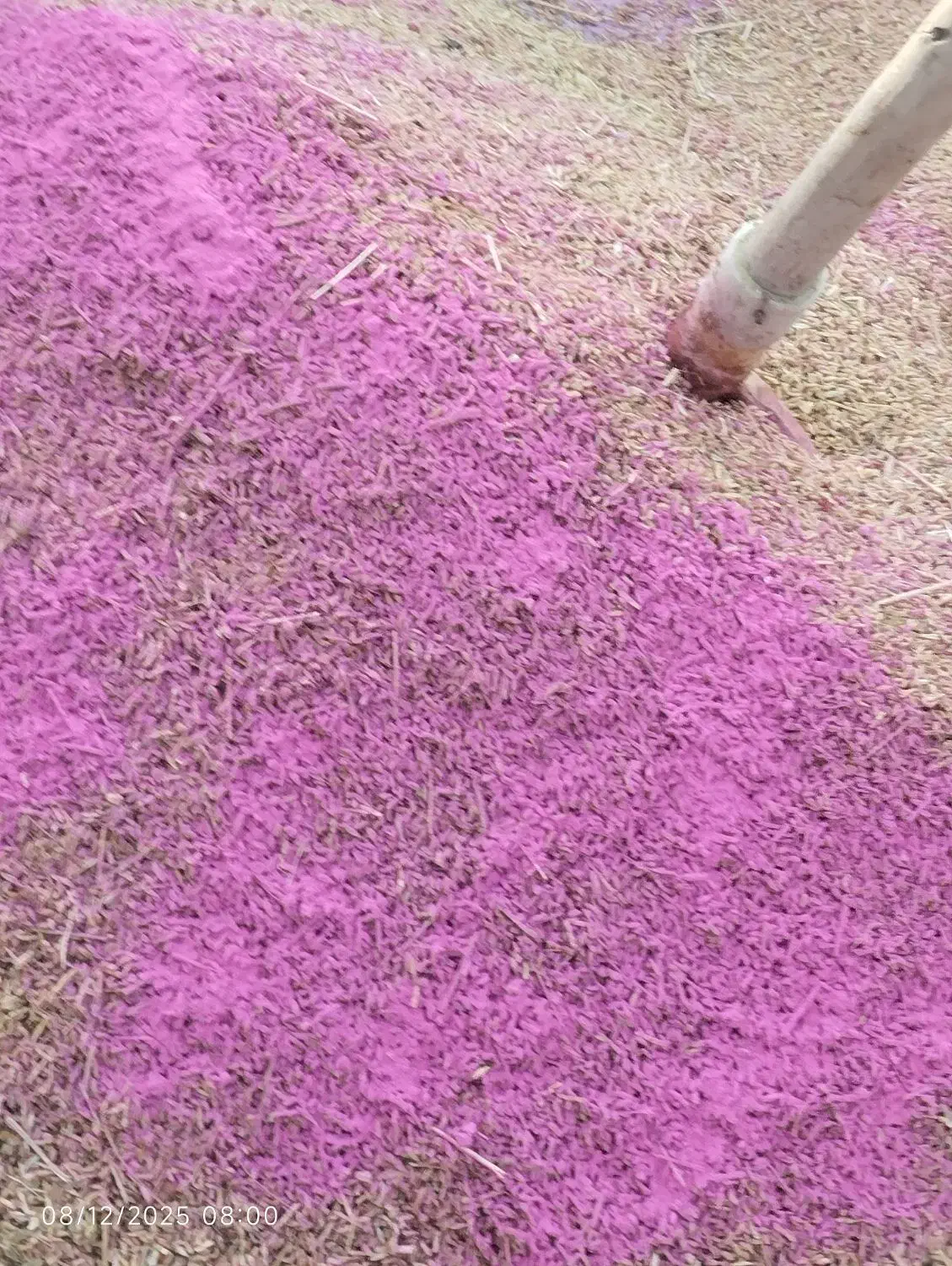 گندمدیمه|عمدهفروشی|مشهد, كنويست|دیوار