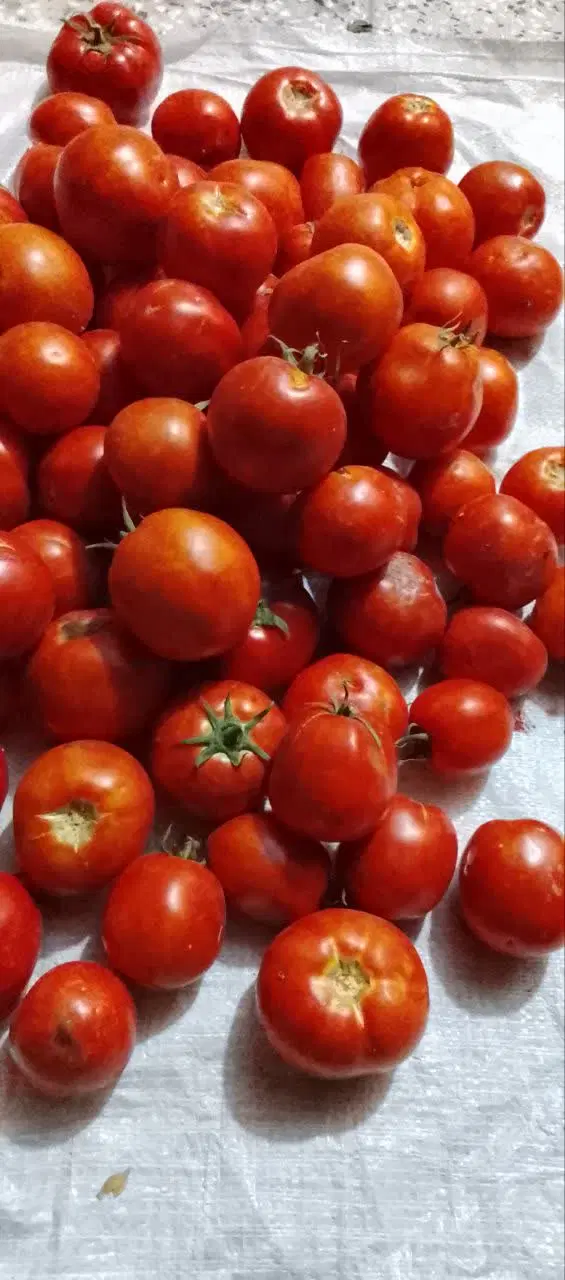 گرجه|خوردنی و آشامیدنی|زبرخان, |دیوار