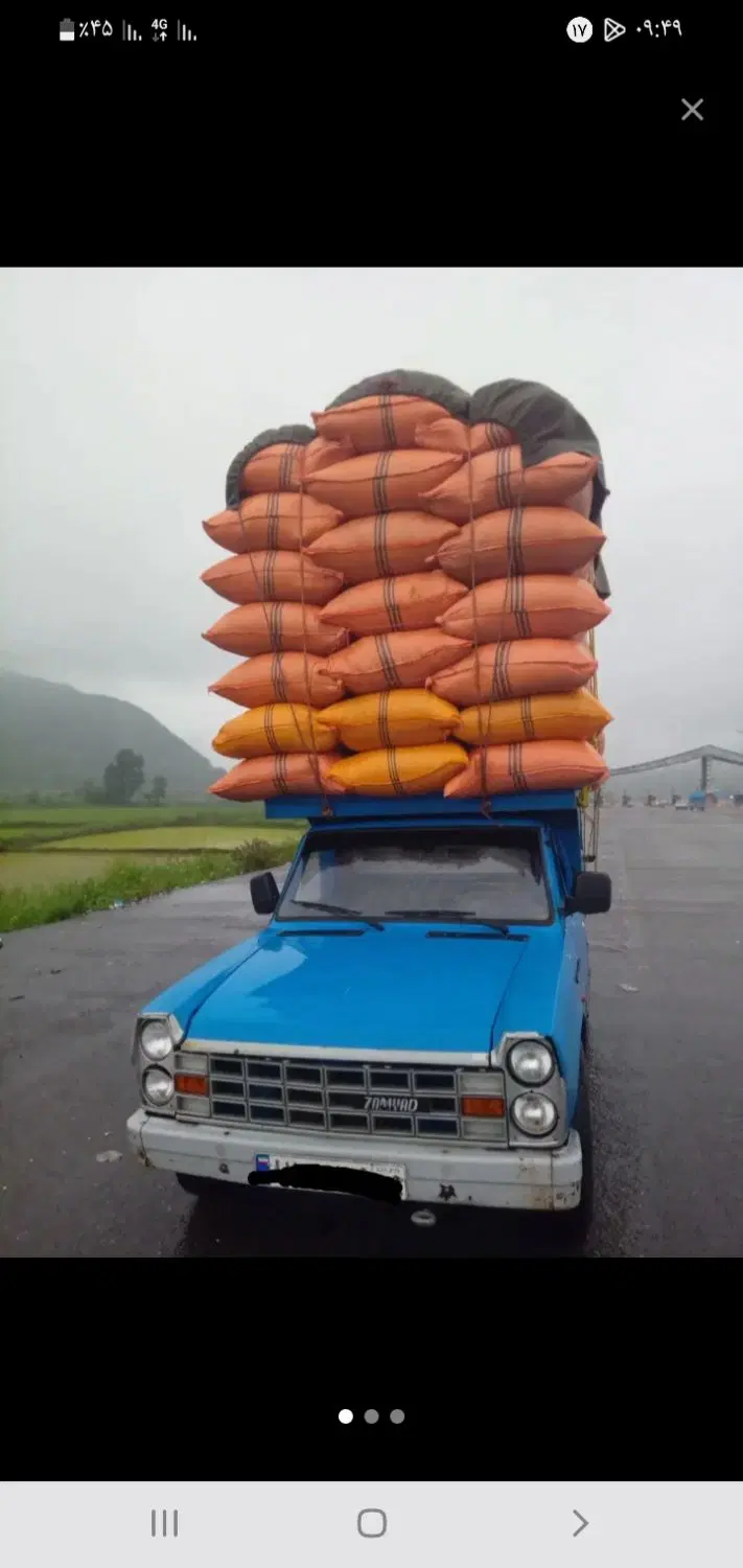 کاه دیم|لوازم جانبی حیوانات|لوشان, |دیوار