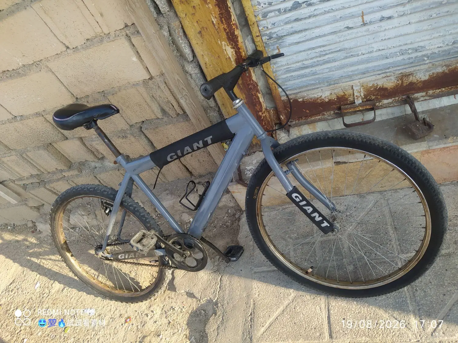 دوچرخه 26|دوچرخه، اسکیت، اسکوتر|جهرم, |دیوار